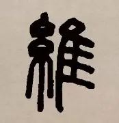 维尼修斯有新变化后续来了的简单介绍