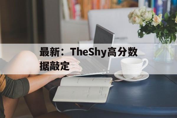 关于最新：TheShy高分数据敲定的信息|
